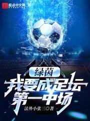 绿茵场上足球