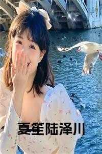夏笙陆泽川免费阅读全文